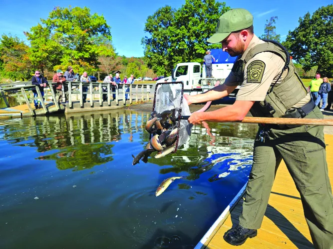 Fall and winter trout stocking to begin Oct. 1